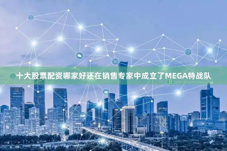 十大股票配资哪家好还在销售专家中成立了MEGA特战队