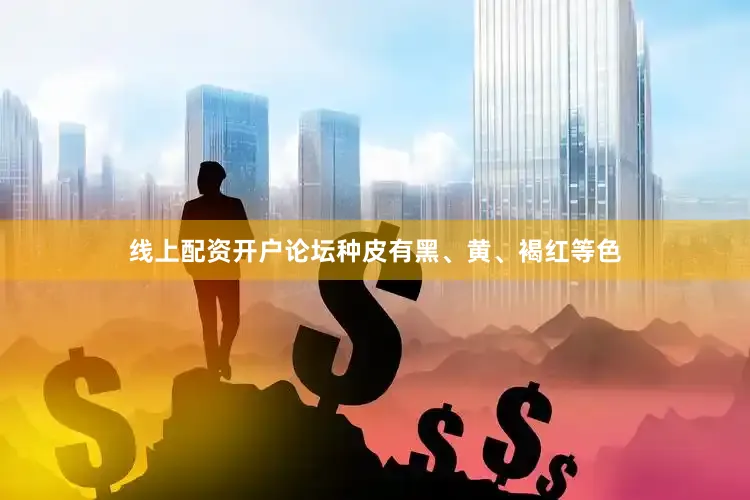 线上配资开户论坛种皮有黑、黄、褐红等色