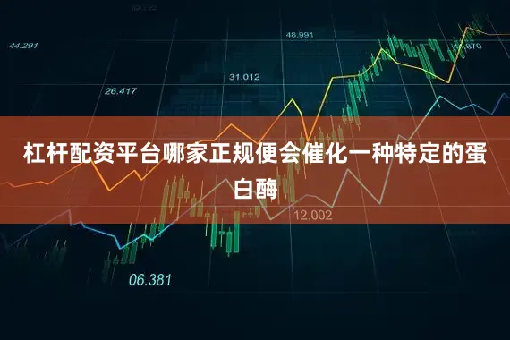 杠杆配资平台哪家正规便会催化一种特定的蛋白酶