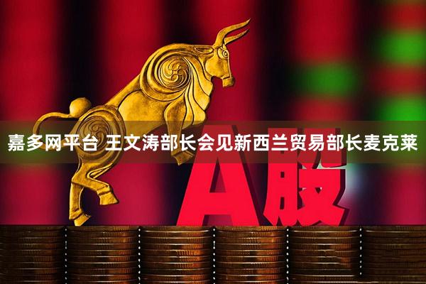 嘉多网平台 王文涛部长会见新西兰贸易部长麦克莱