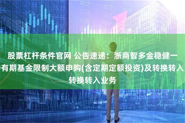 股票杠杆条件官网 公告速递：浙商智多金稳健一年持有期基金限制大额申购(含定期定额投资)及转换转入业务